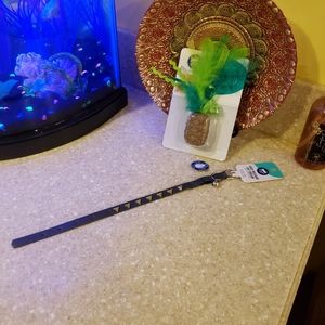 Cat toy and collar 🐈